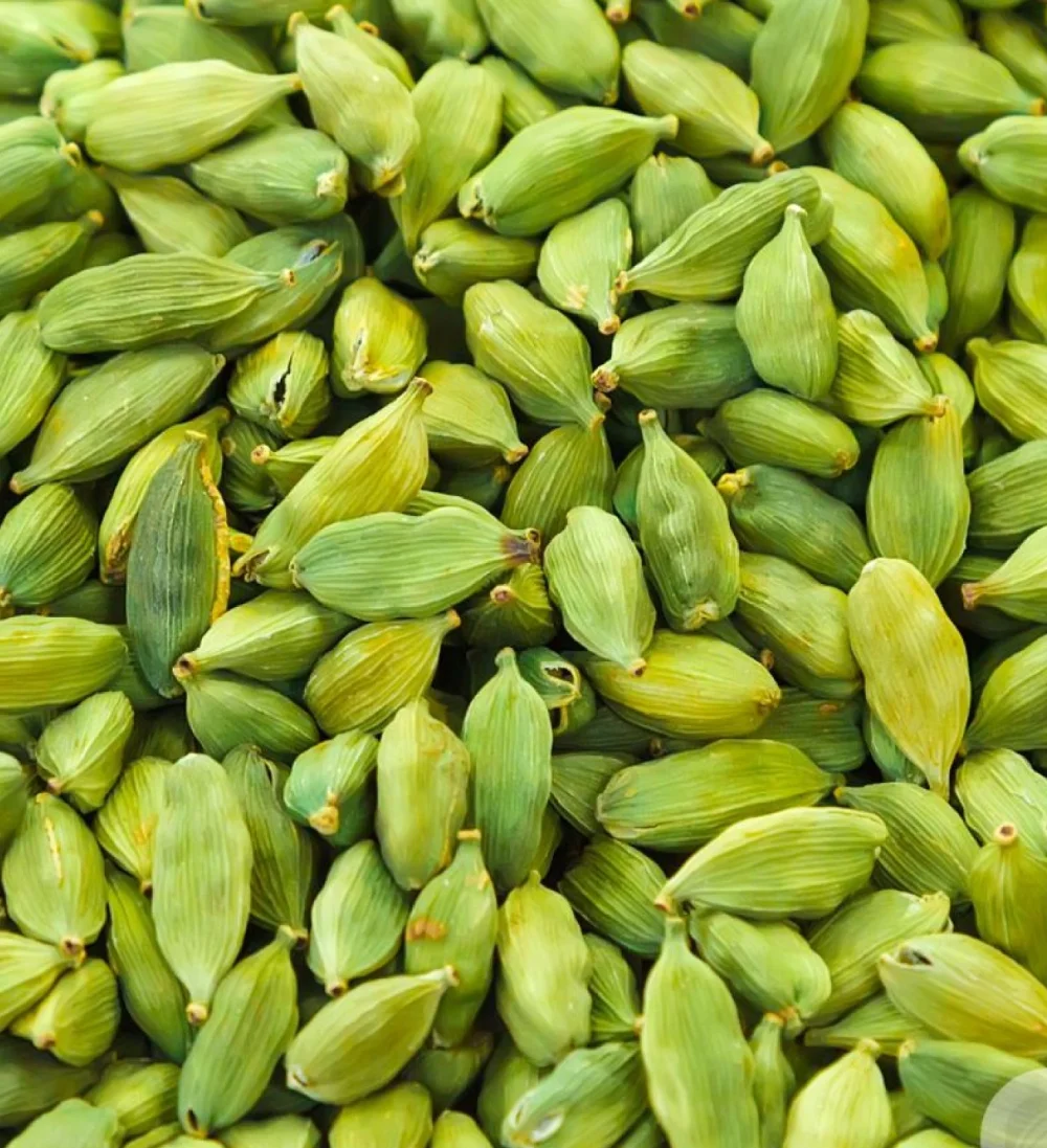 Cardamom