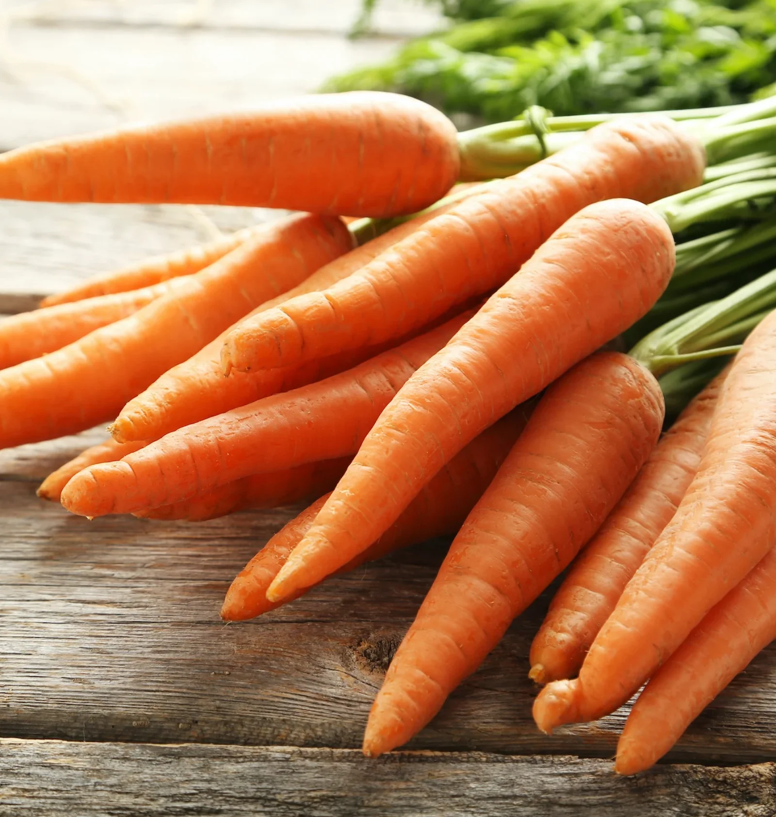 Carrot