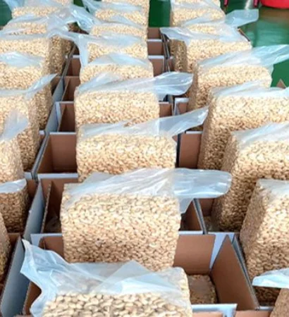 Cashew Nuts