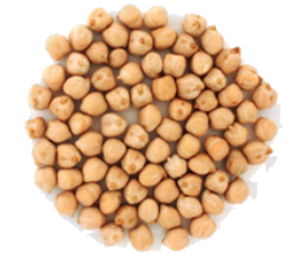 Chickpea