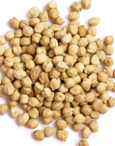 Chickpea