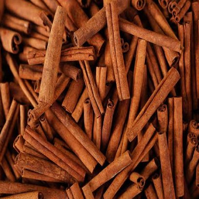 Cinnamon Stick