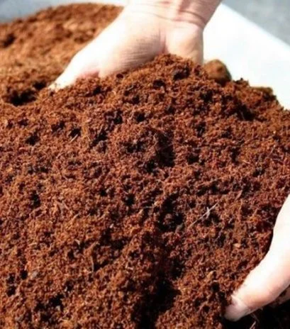 Coco Peat