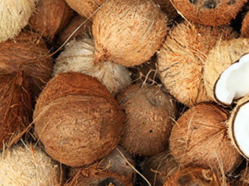 Coconut
