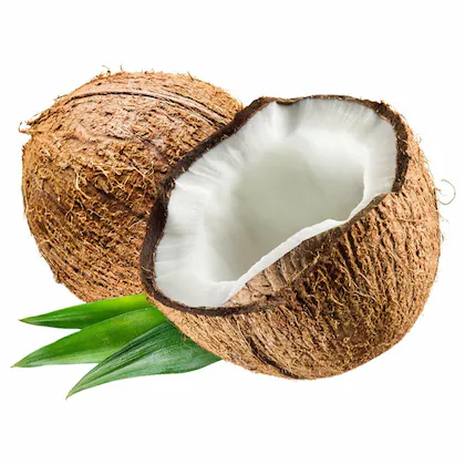 Coconut