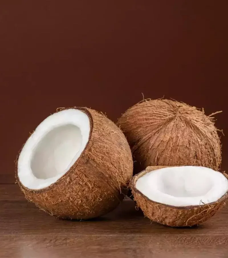 Coconut