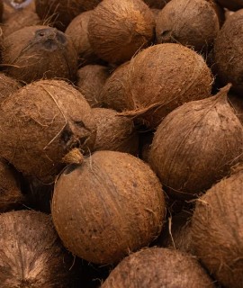 Coconut