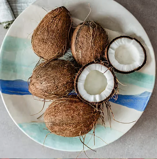 Coconut