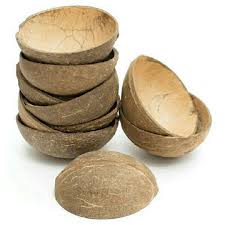 Coconut Shell