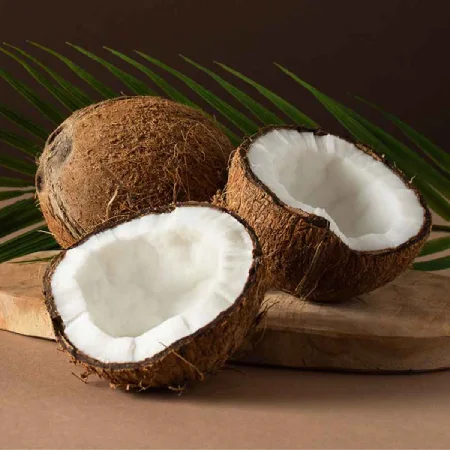 Coconut