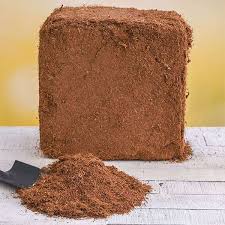 Cocopeat Block & Powder