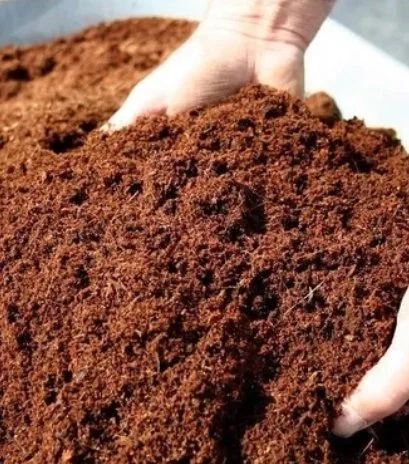 Coir Peat