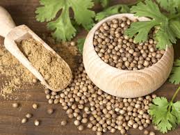 Coriander