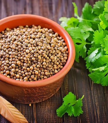 Coriander Seed