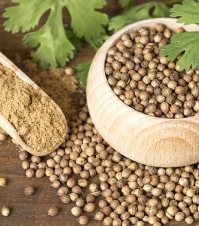 Coriander Seed
