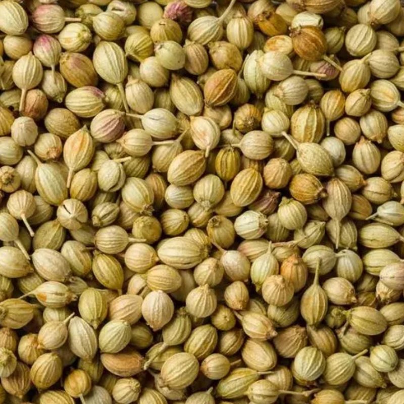 Coriander Seed