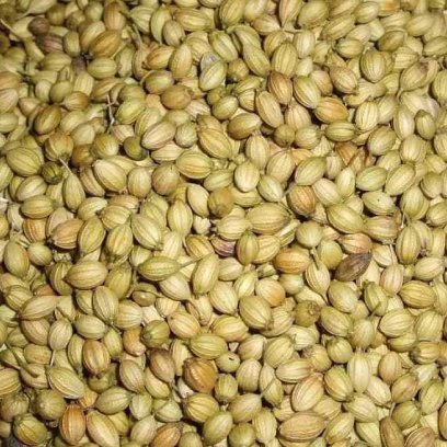 Coriander Seed