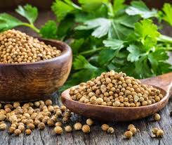 Coriander Seed