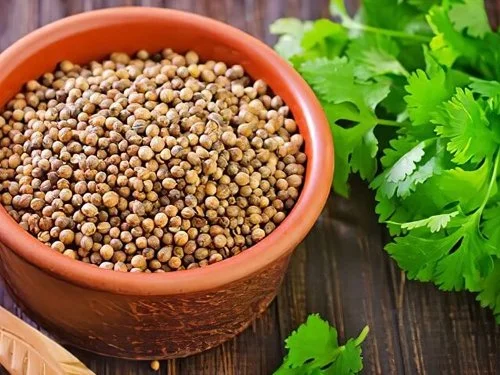 Coriander Seeds