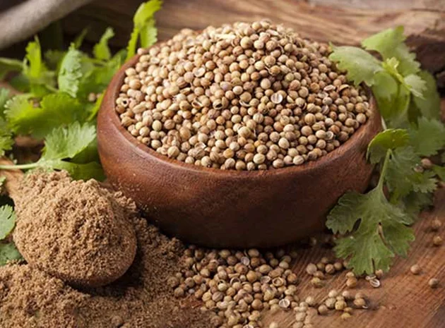 Coriander Seeds