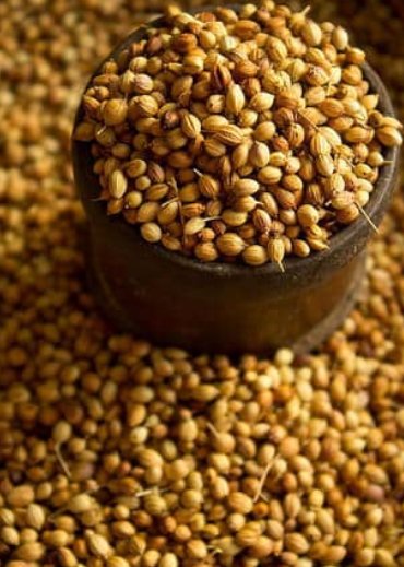 Coriander Seeds