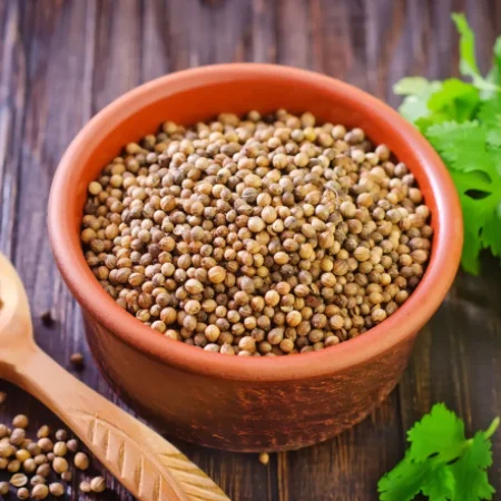 Coriander