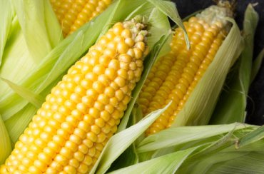 Corn