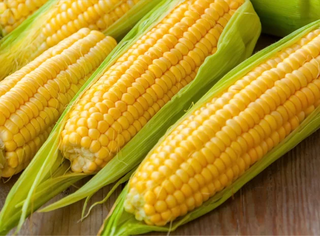 Corn