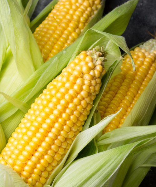 Corn