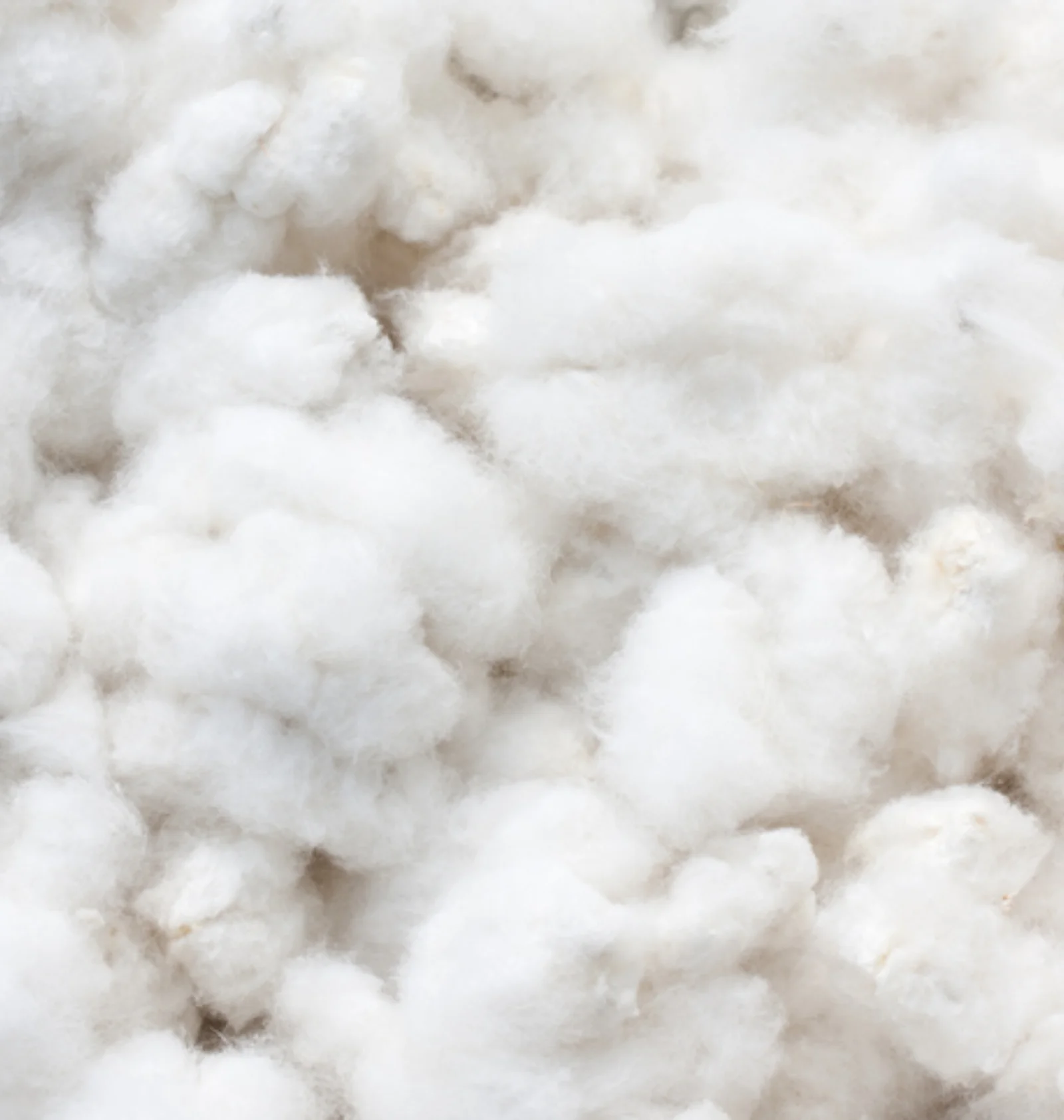Cotton