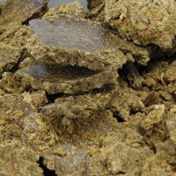 Cotton Seed Oil Cake