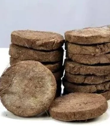 Cow Dung Cake