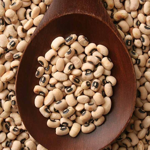 Cowpea Seeds
