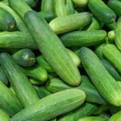 Cucumber