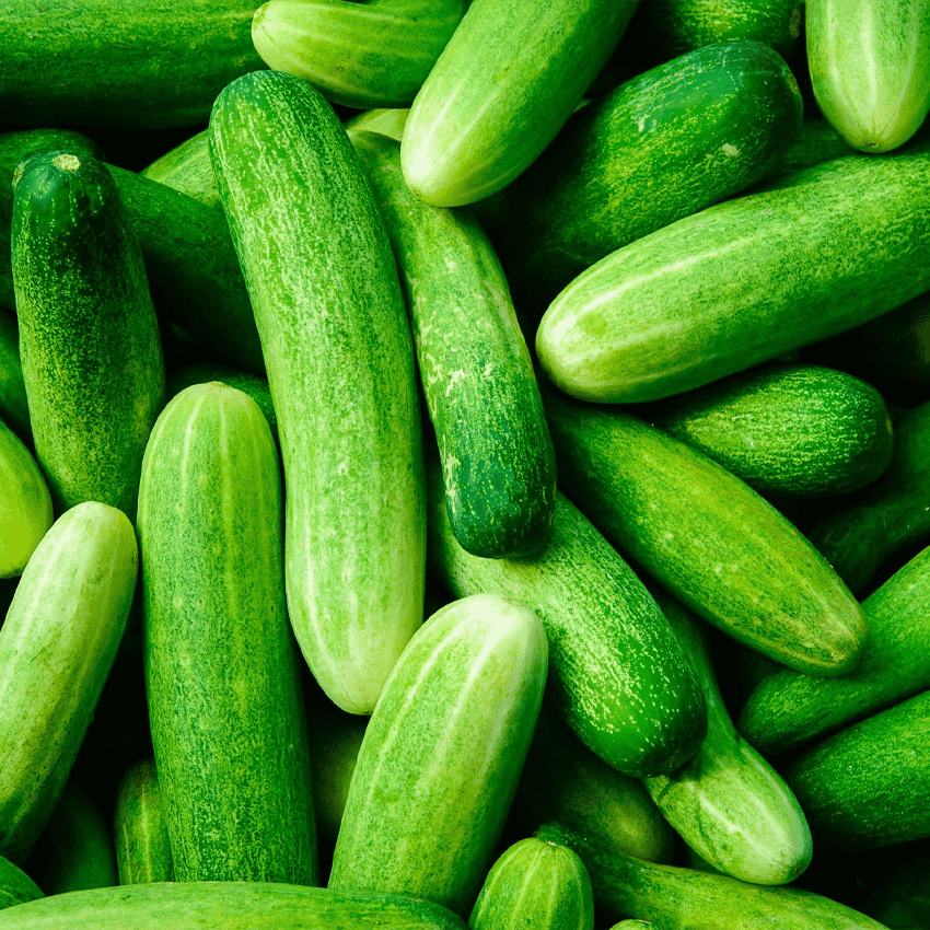 Cucumber