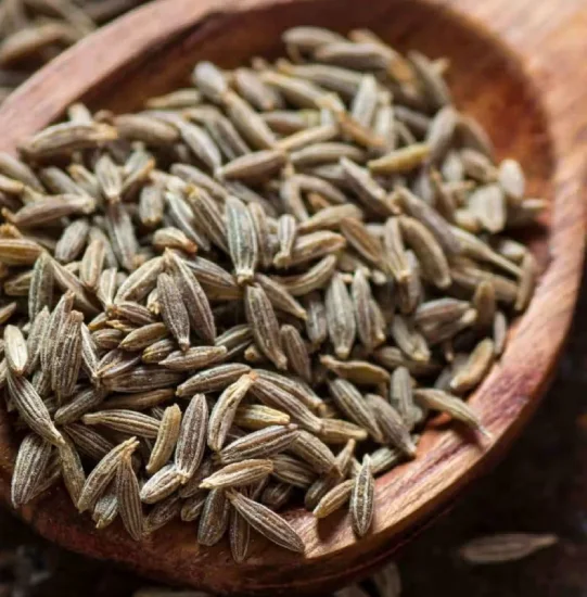 Cumin Seed