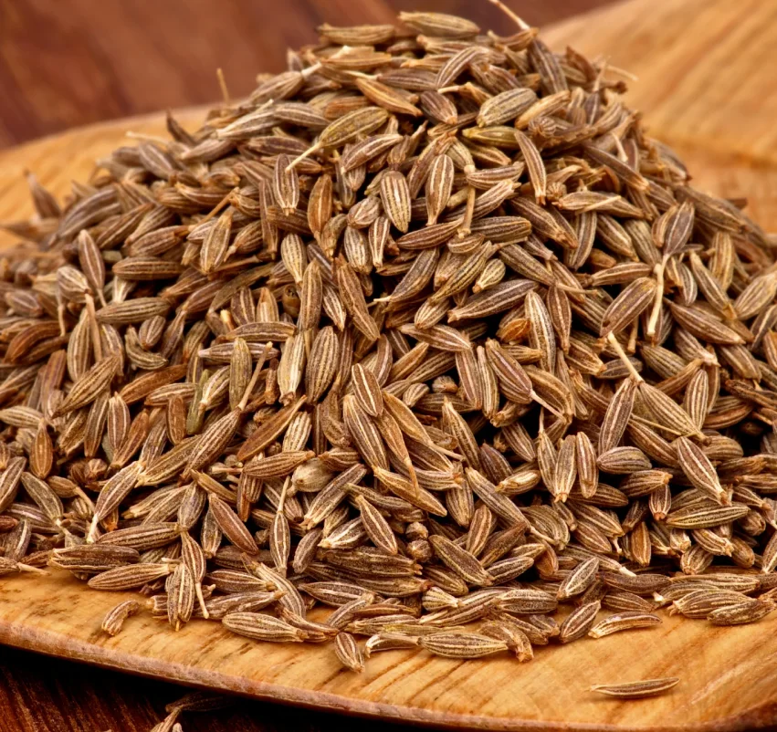 Cumin Seed