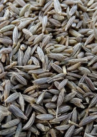 Cumin Seeds