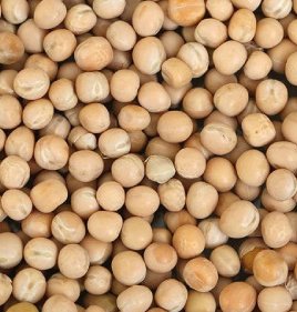 DRIED PEAS