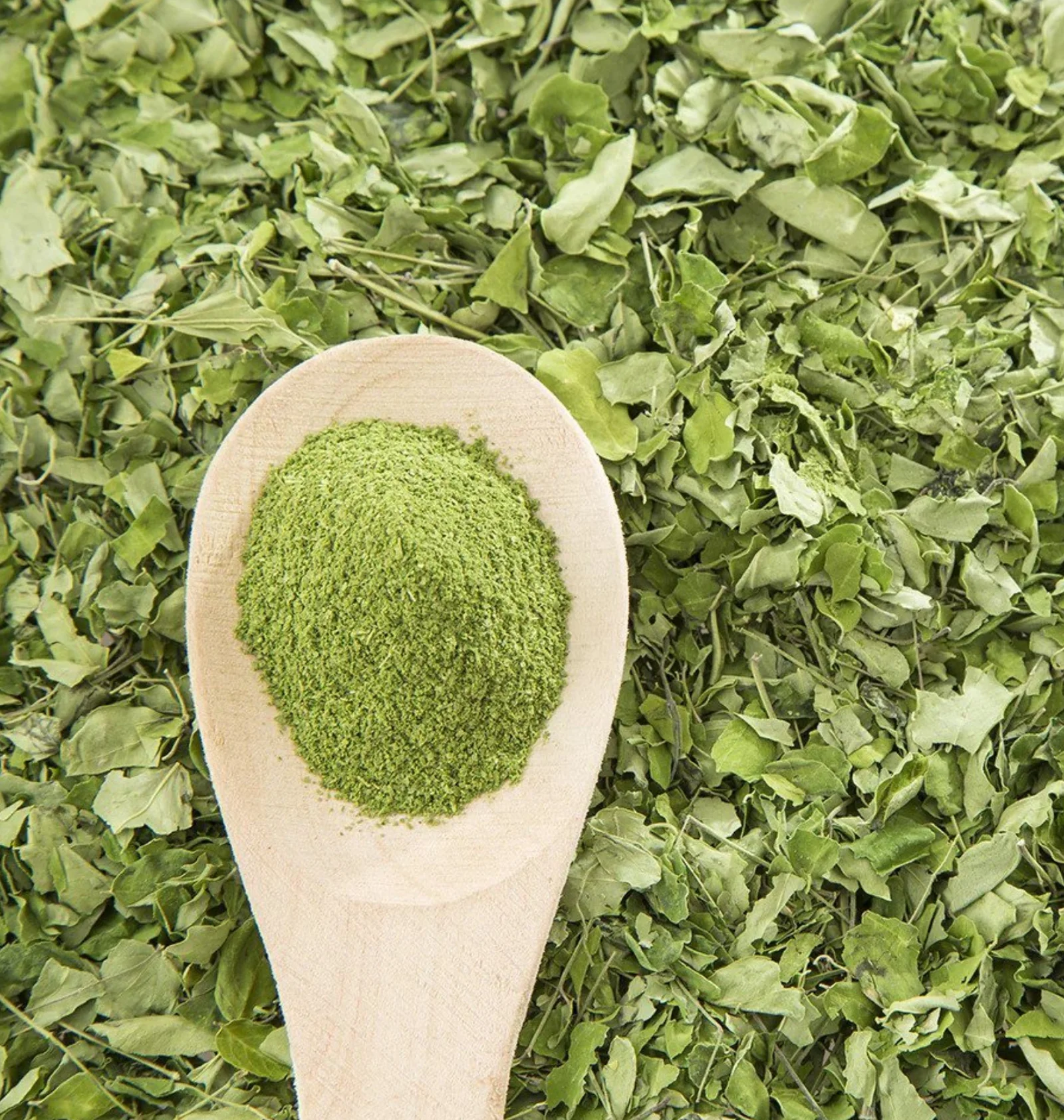 Dried Moringa Powder