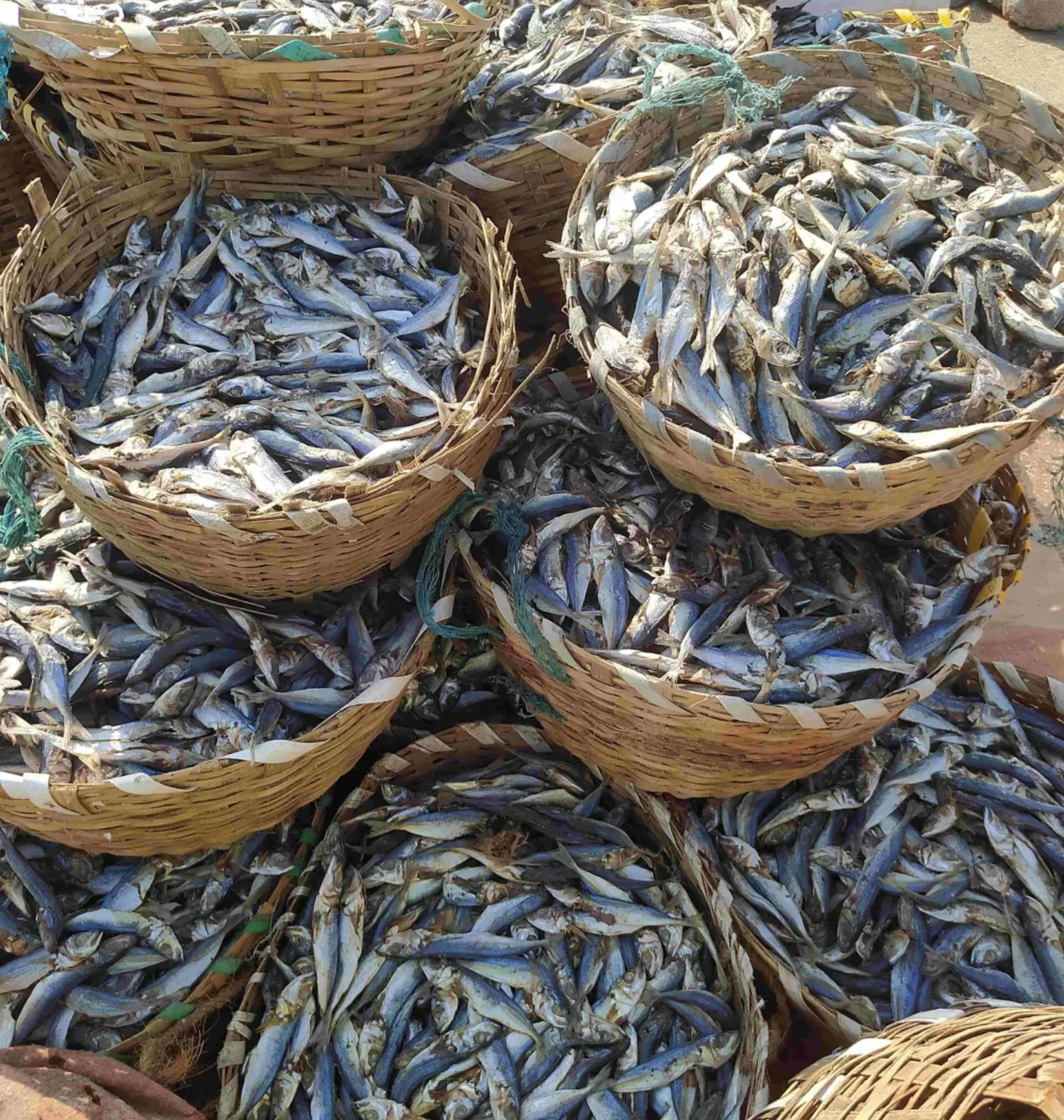 Dry Fish