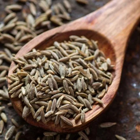 Fennel Seed