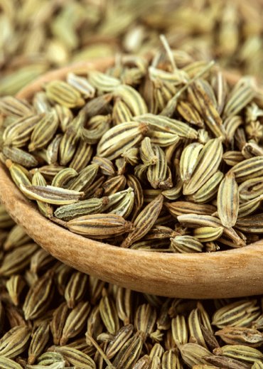 Fennel Seed
