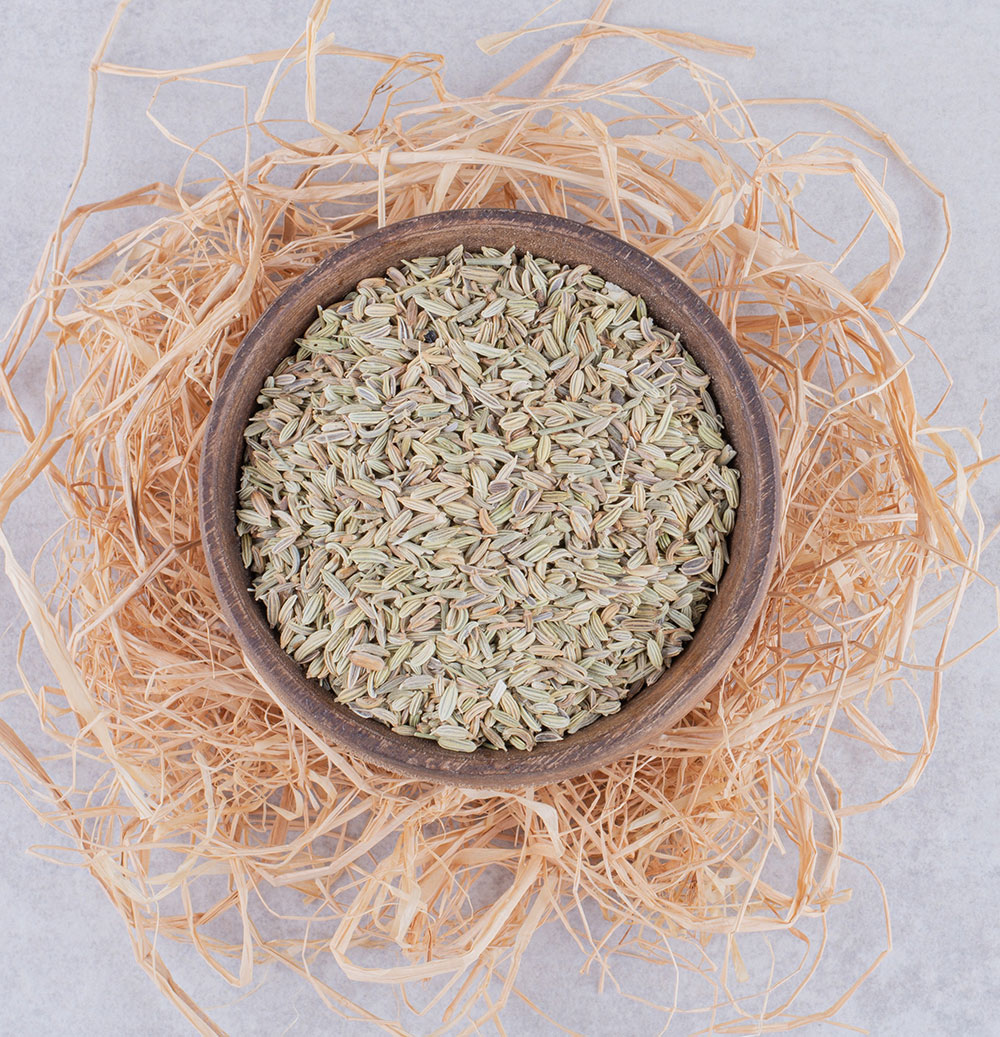 Fennel