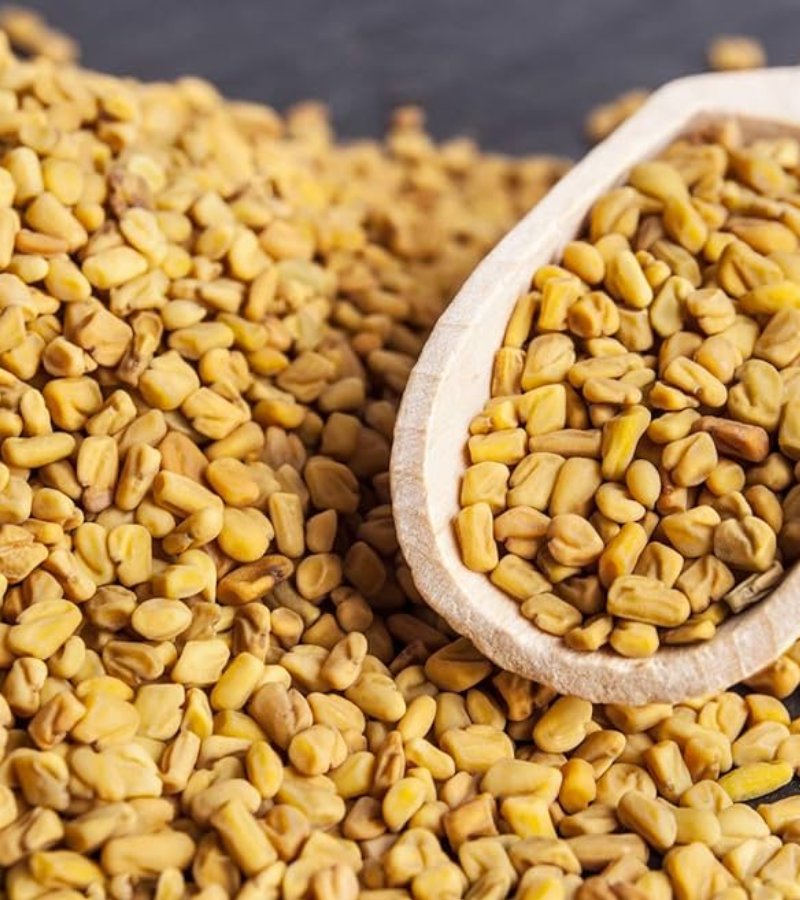 Fenugreek Seed
