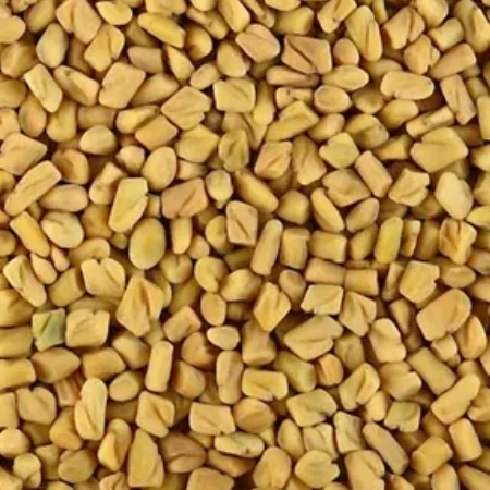 Fenugreek Seed