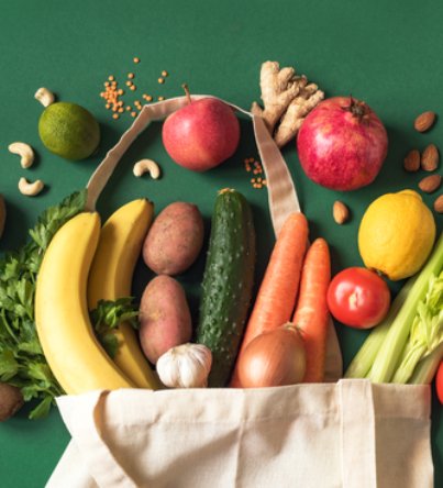 Food Waste Processing