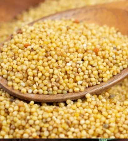 Foxtail Millet