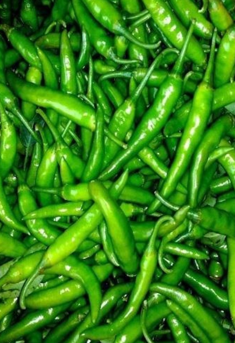 Fresh Green Chilli