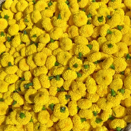Fresh Marigold Luse Flower